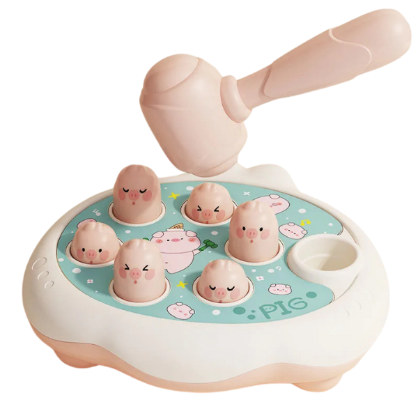 Educational Toy