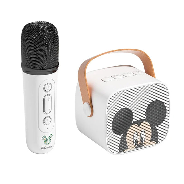 Wireless Mini Microphone and Speaker Set