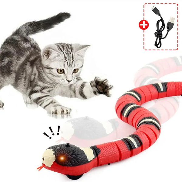 Electronic Snake